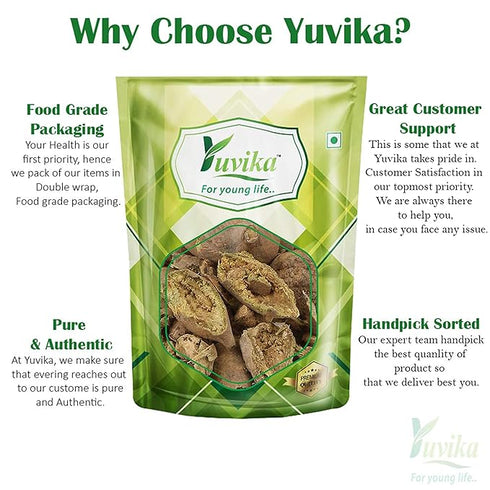 Yuvika Bahera Chilka |Terminalia Bellirica